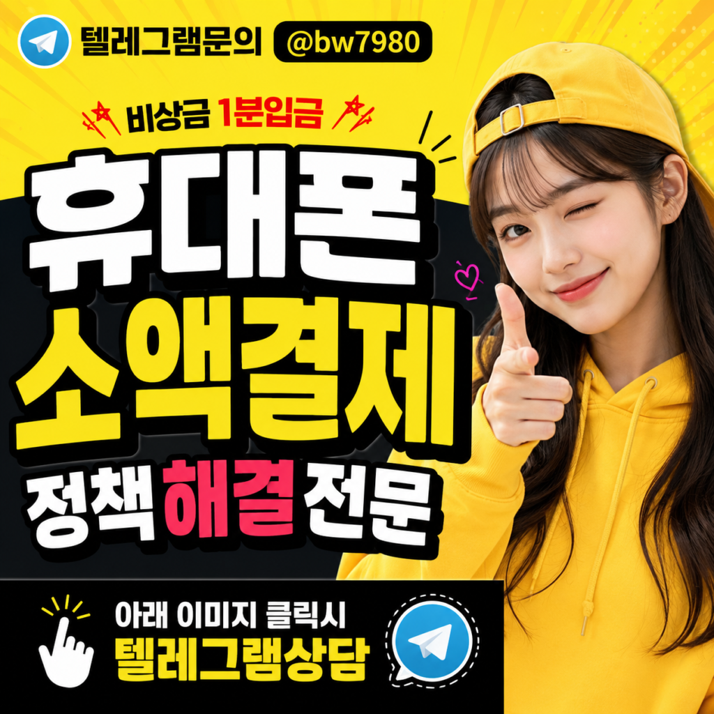 소액결제정책 (1)