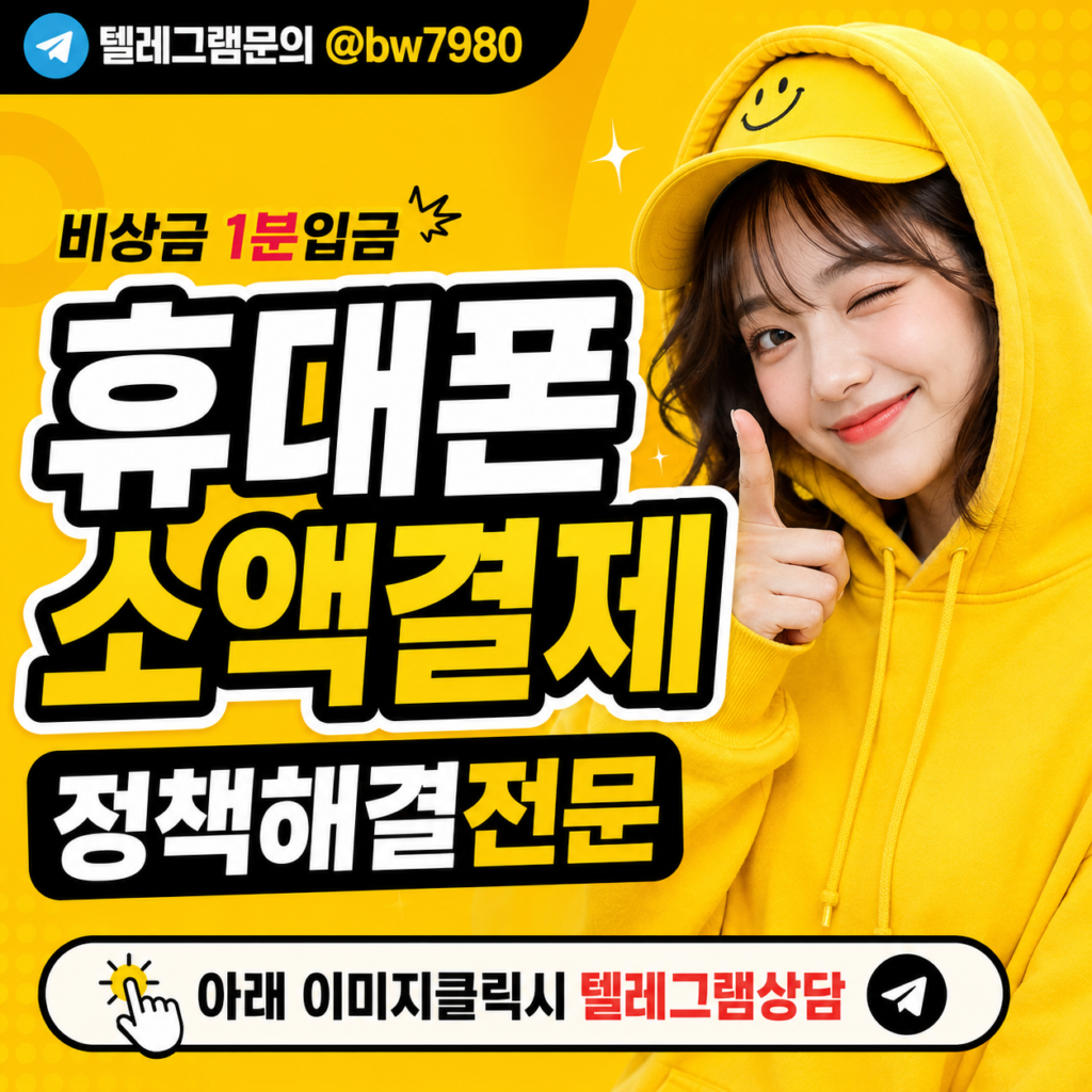 소액결제정책 (2)