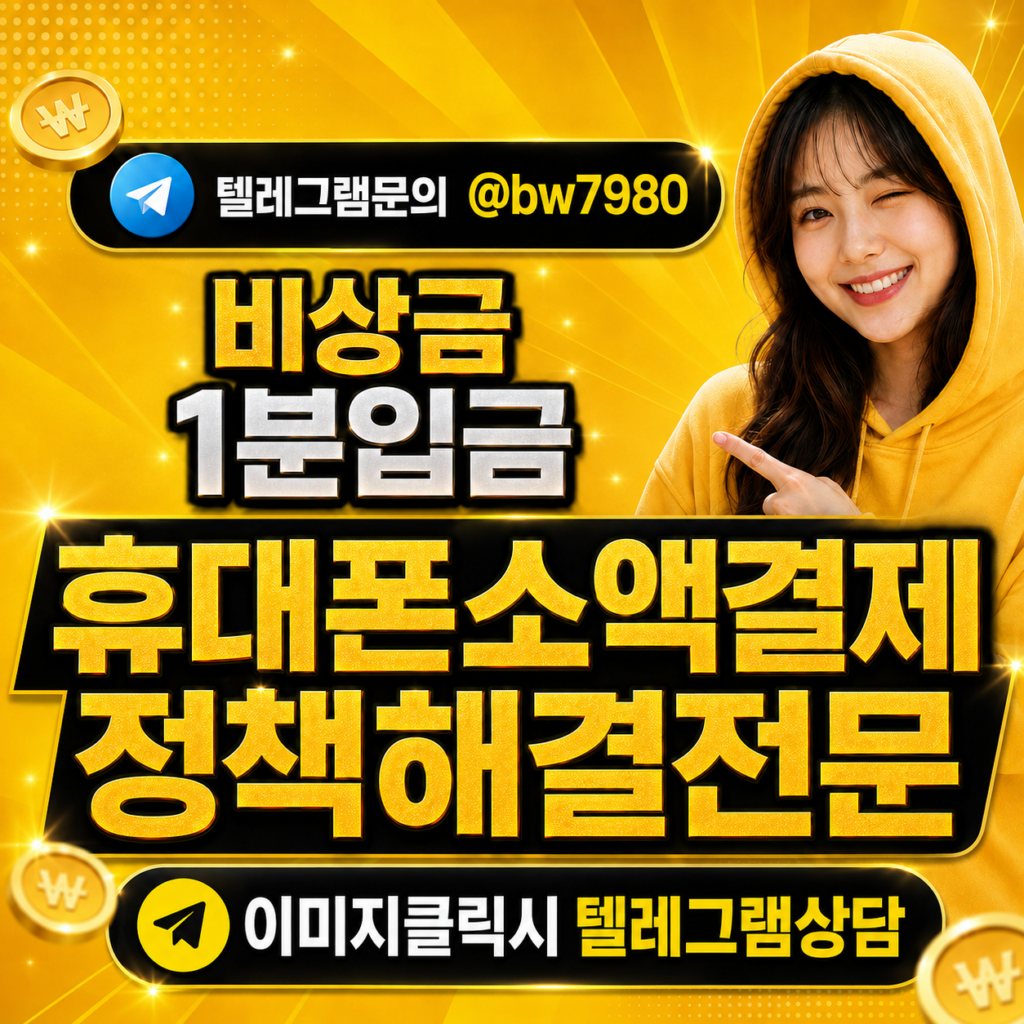 소액결제정책 (3)