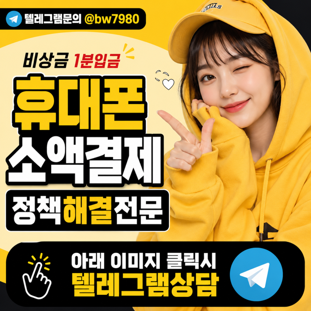 소액결제정책 (4)