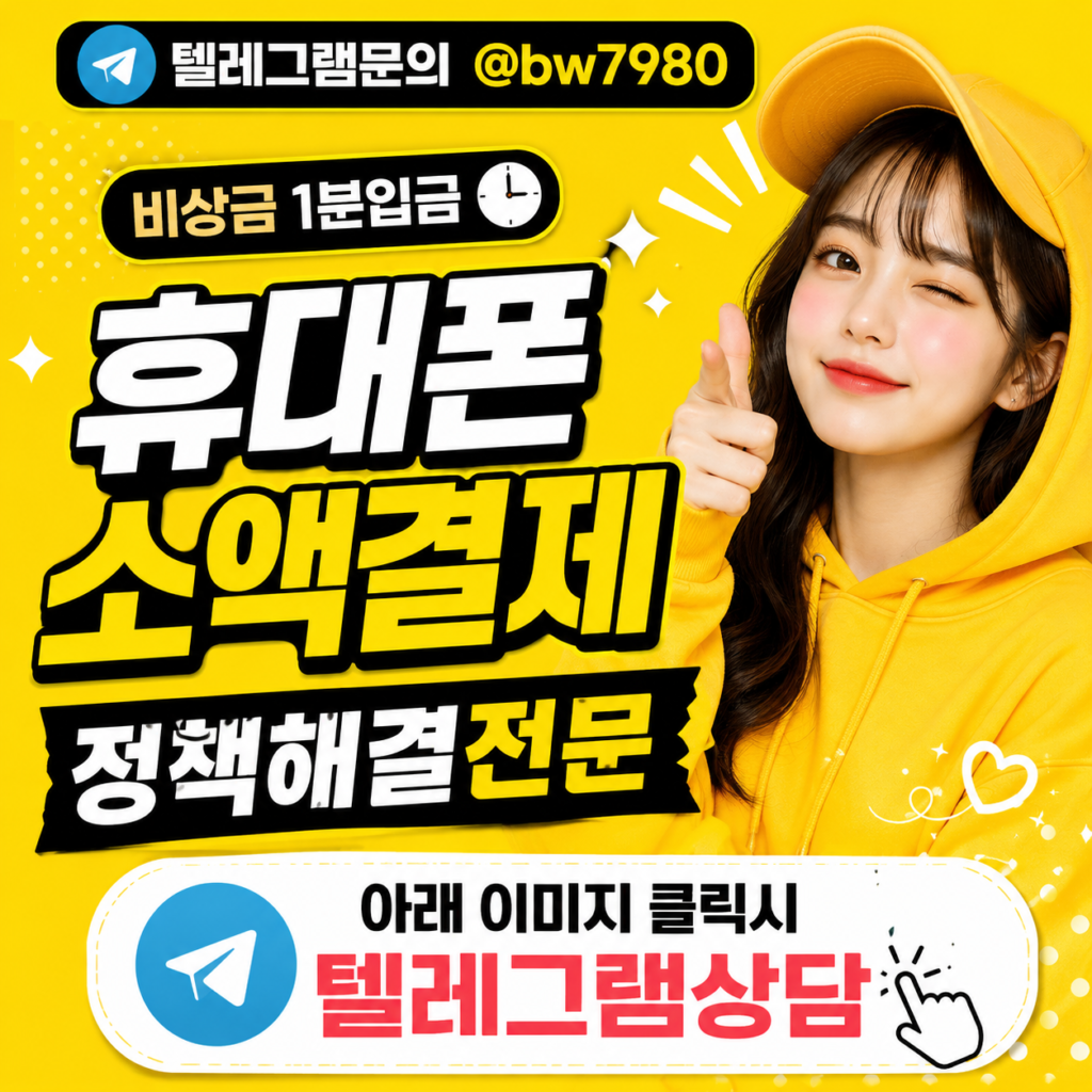 소액결제정책 (5)