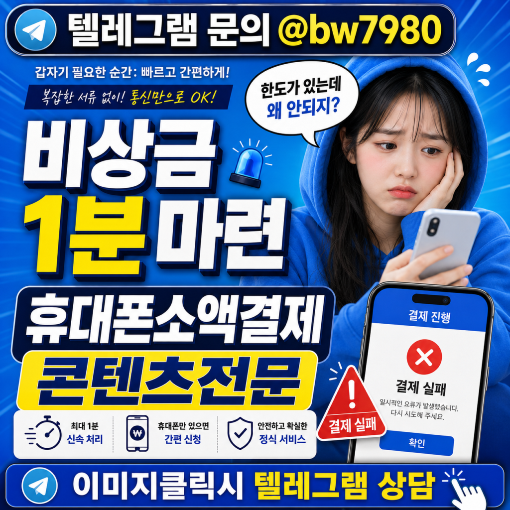 소액결제한도남았는데정책 (1)