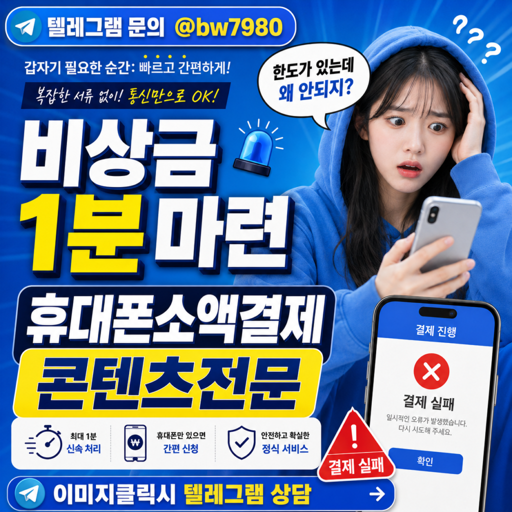 소액결제한도남았는데정책 (5)